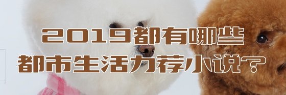 2019都有哪些都市生活力荐小说？